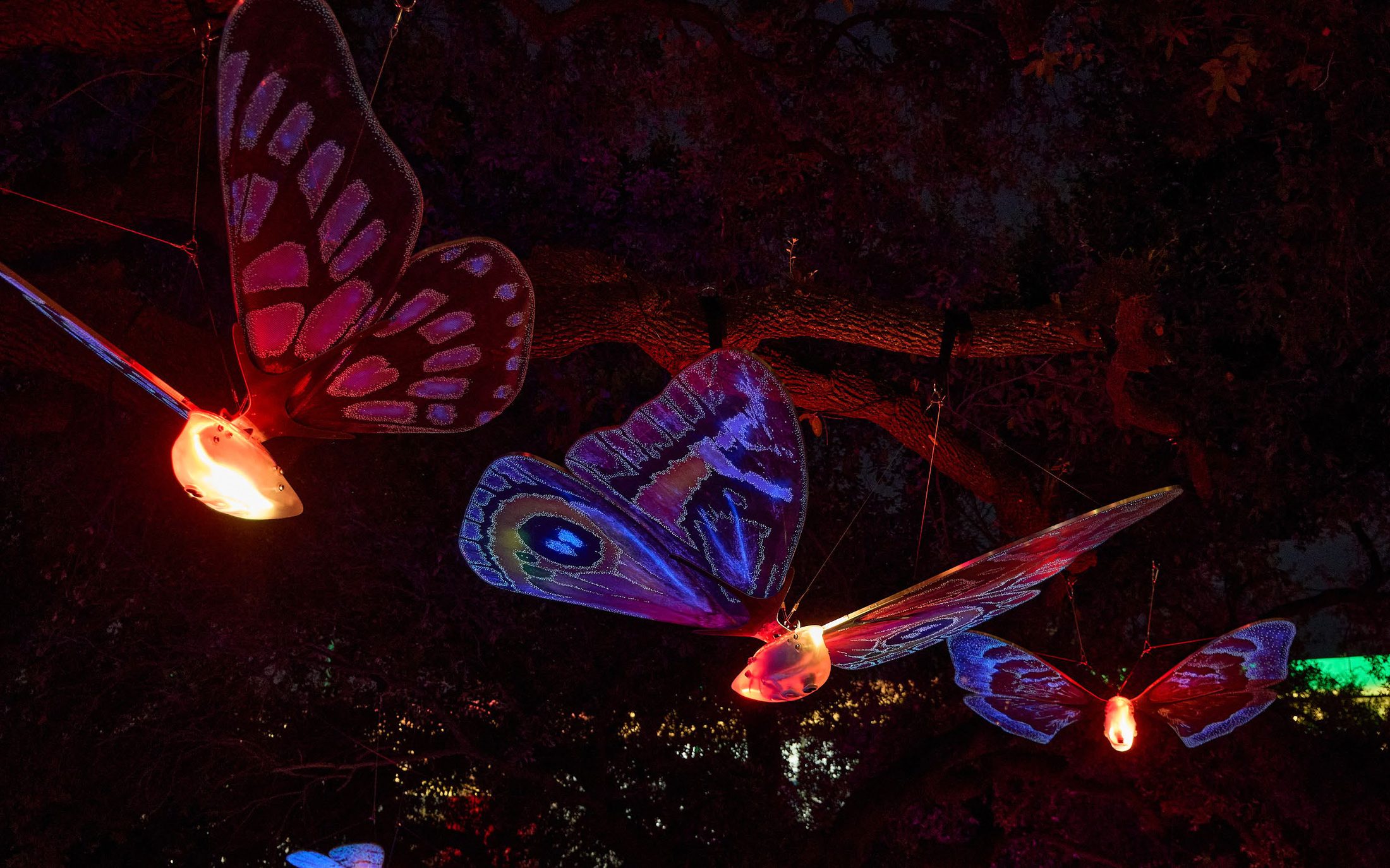 Three richly lit moth sculptures in red and blue hovering among dark branches.