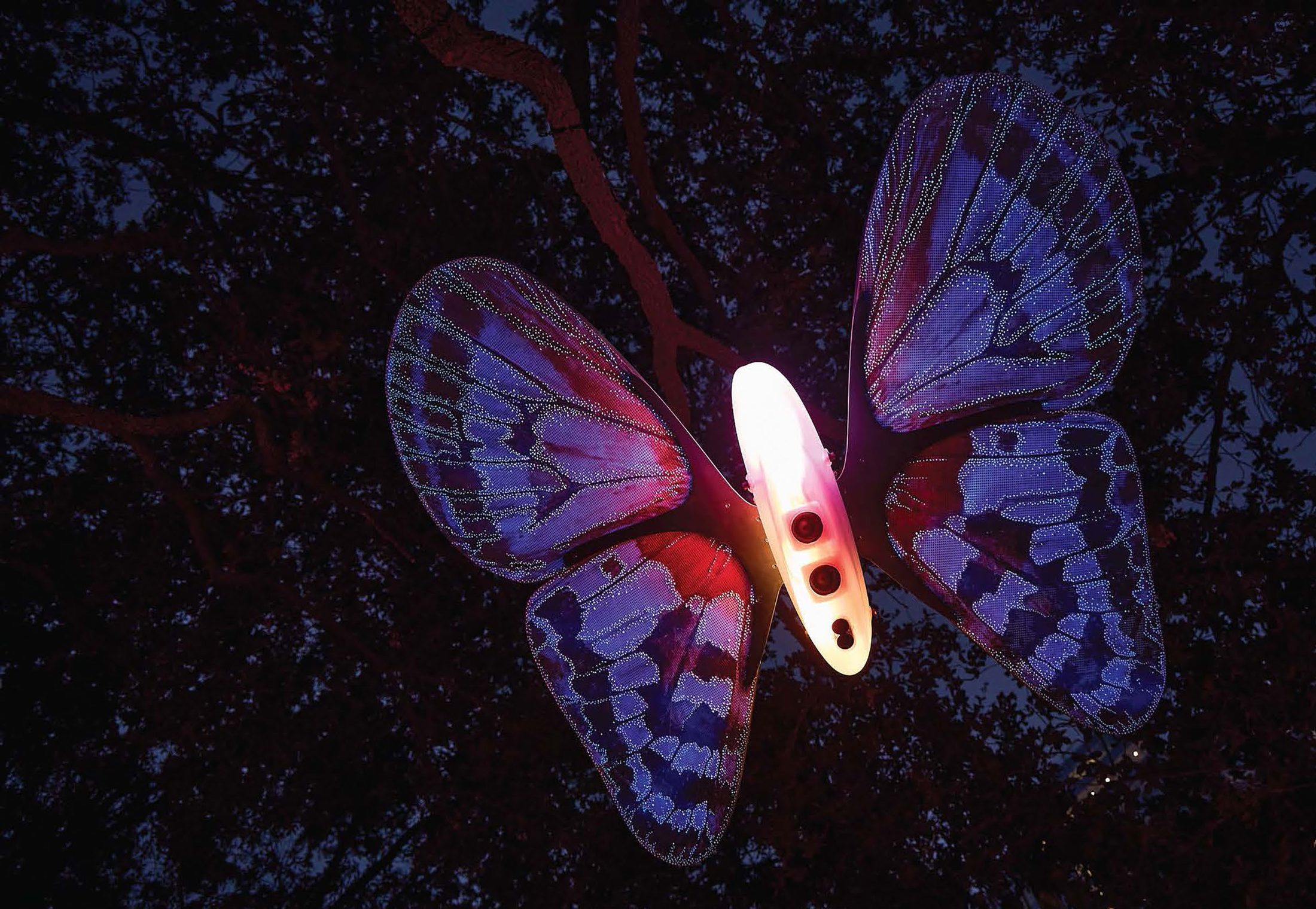 A large illuminated moth sculpture with violet and magenta wings suspended in a dark tree canopy.