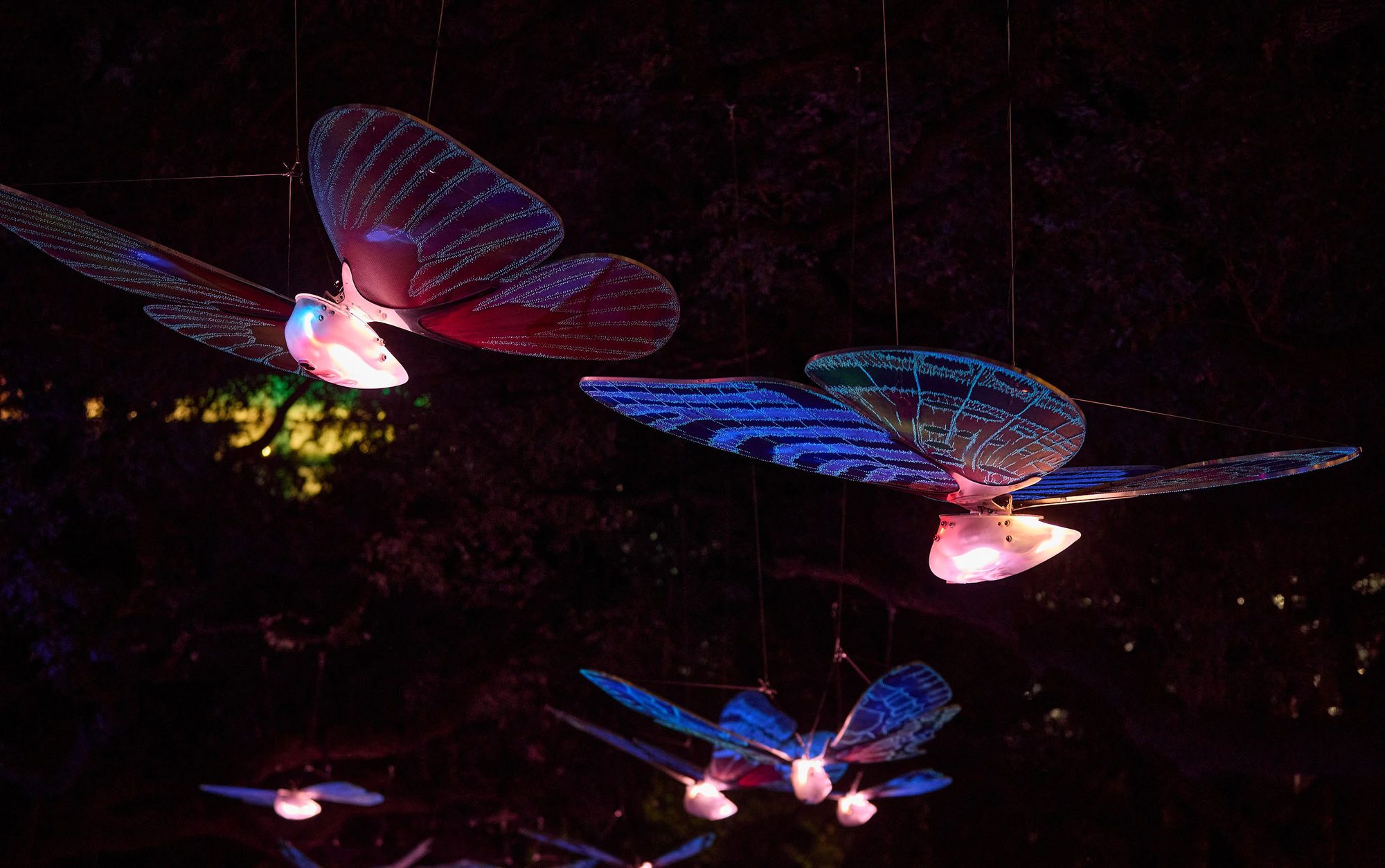 Two glowing moth sculptures in flight formation against a dark night sky.