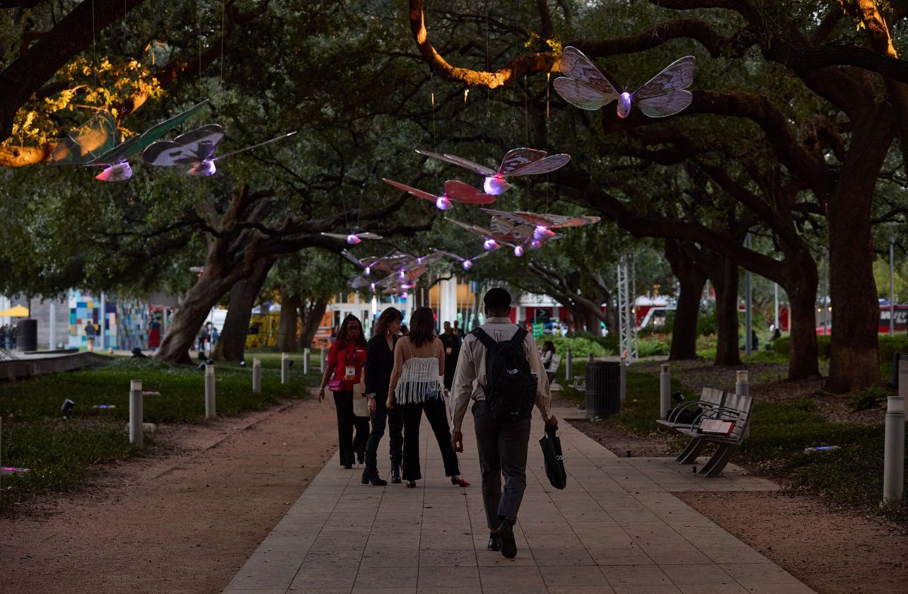 Visitors walking beneath a canopy of illuminated moths strung between live oak branches at dusk.