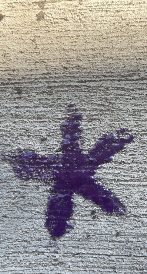 A painted star on concrete, deep purple at 07:00.