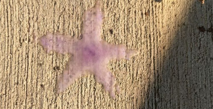 The same star faded to pale pink at 09:00.
