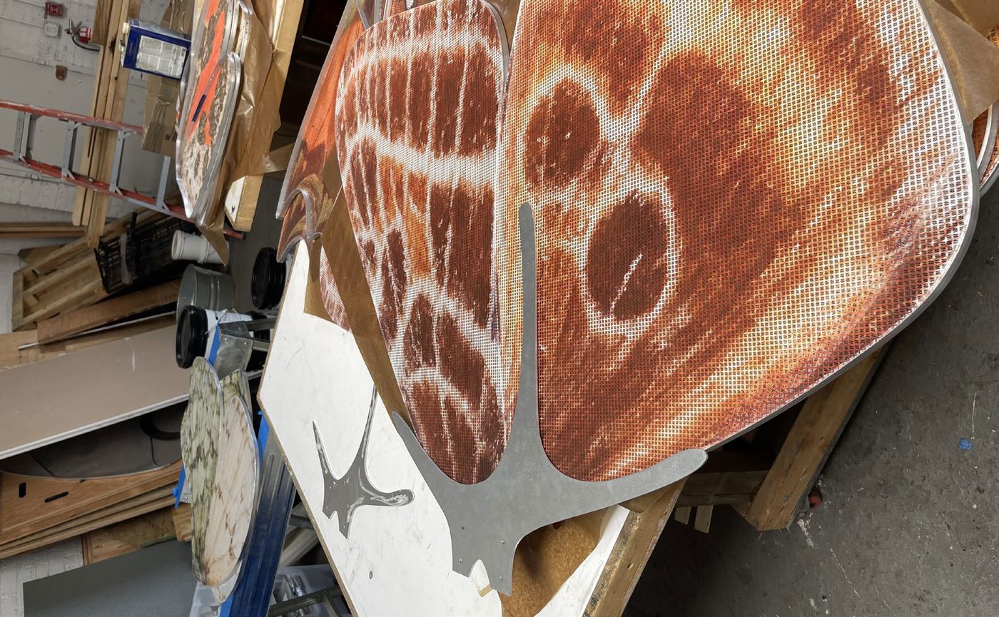 Close detail of a printed wing showing eyespot pattern.