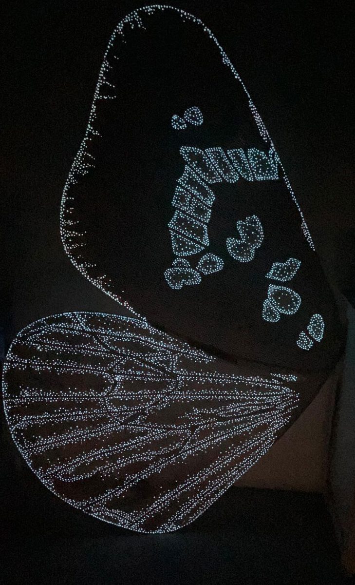 A wing outline glowing under UV light in a darkened room.